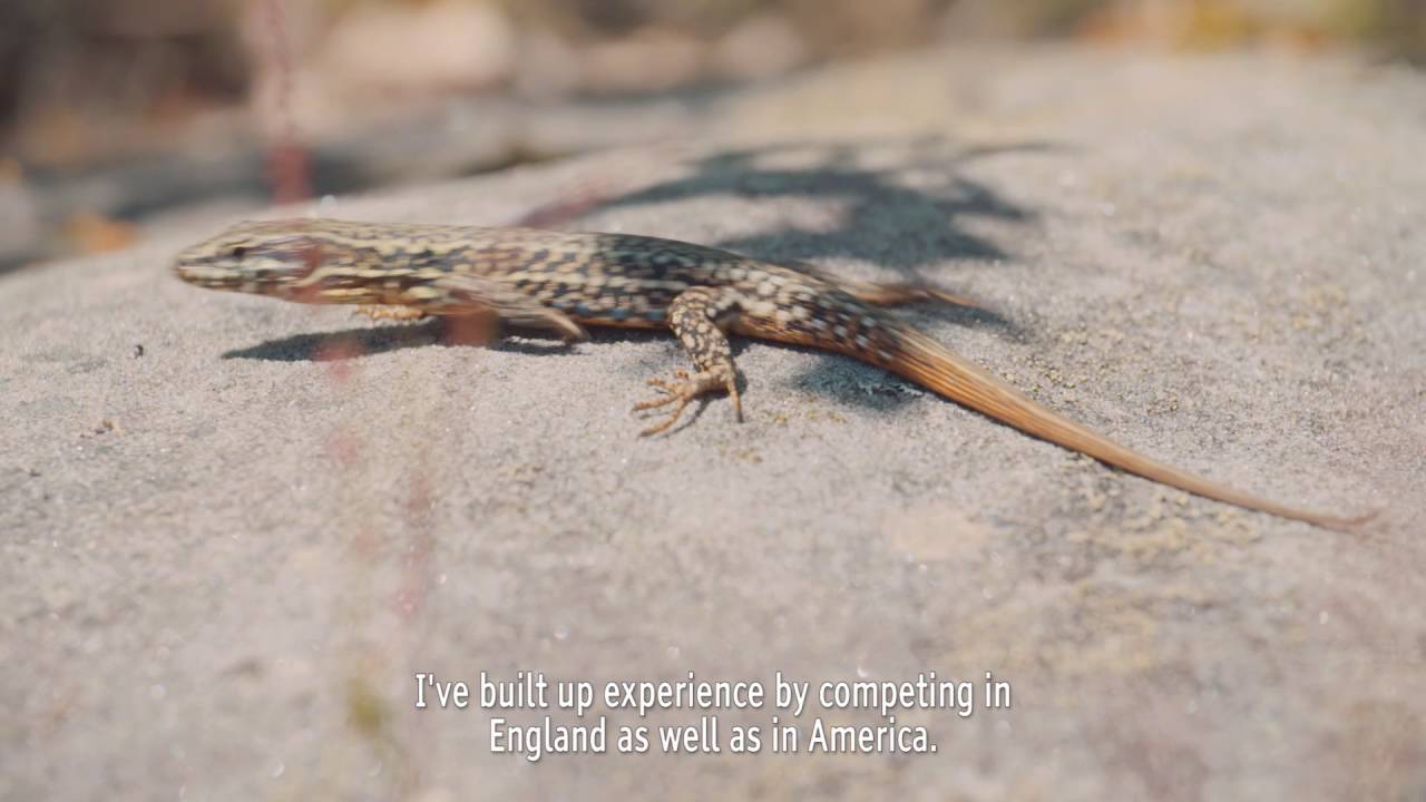 THE FINAL STAGE - Short Documentary