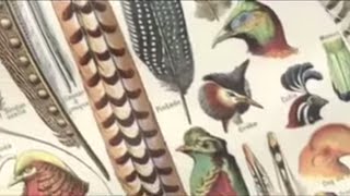Olivier Messiaen 1908-1992 Messiaens Use Of Birdsong