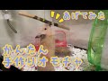 簡単手作りおもちゃあげてみた【ゴールデンハムスターキンクマ】大興奮