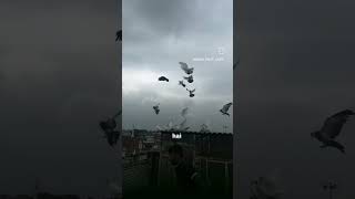 Sitamgaron Ko Yaad Dilao