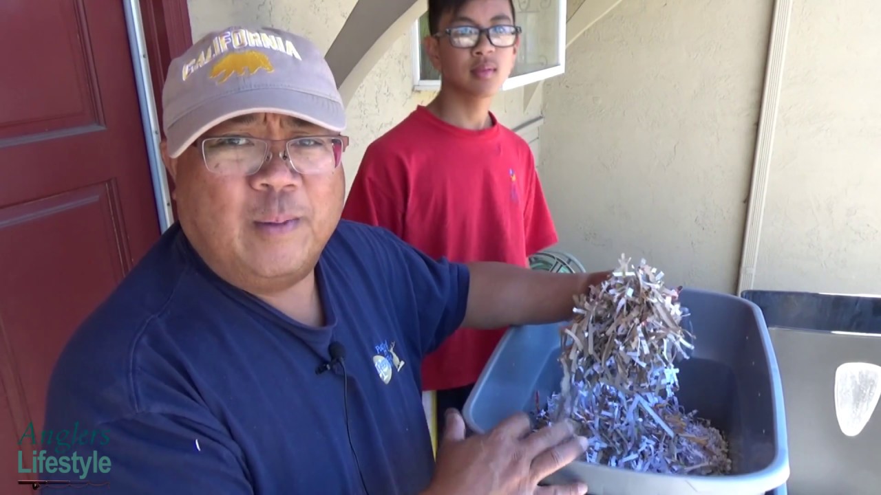 DIY Worm Farm For Fish Bait - YouTube