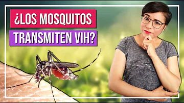 ¿Pueden los mosquitos contagiarte parásitos?