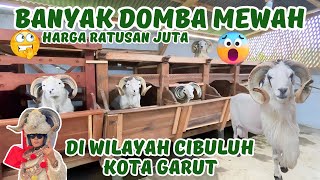 GREBEG WILAYAH CIBULUH PUSATNYA DOMBA GARUT