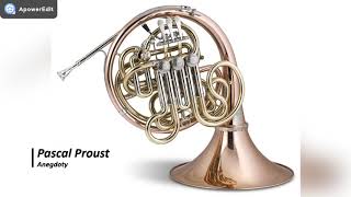 Pascal Proust - Anegdoty - akompaniament
