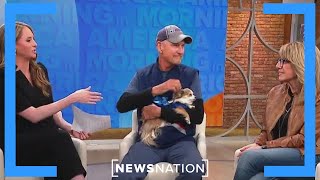 Chihuahua and postal carrier share an unlikely friendship | Morning in America