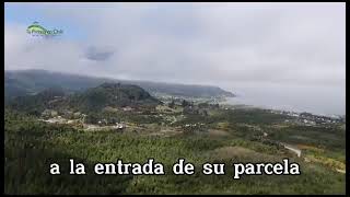 Disfruta Lenca (Alerces de Lenca - Altos de Lenca - Alto Piello)