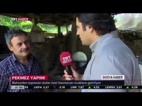 Ormanağzı Köyü Dut