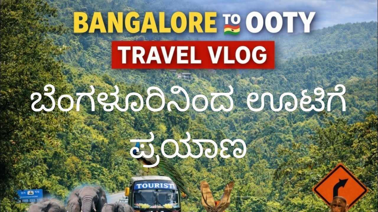 Bangalore to Ooty Road Trip | Via Mysore & Bandipur 🏞️ | Travel Vlog 2026
