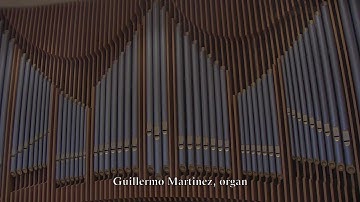 12/08/2024 Second Sunday of Advent