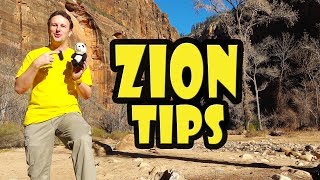 Zion National Park: 10 Things to Know Before You Go