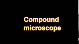 What Is The Definition Of Compound microscope - Medical Dictionary Free Online