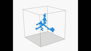 Computing particles  (Agent based) _ Random Walker Profile