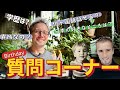 【誕生日企画】ニコちゃんに36の質問🇫🇷🇯🇵