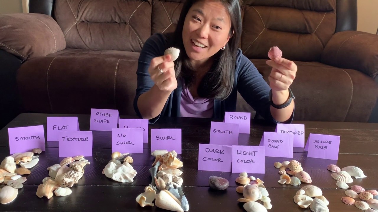 Science of Sorting - YouTube