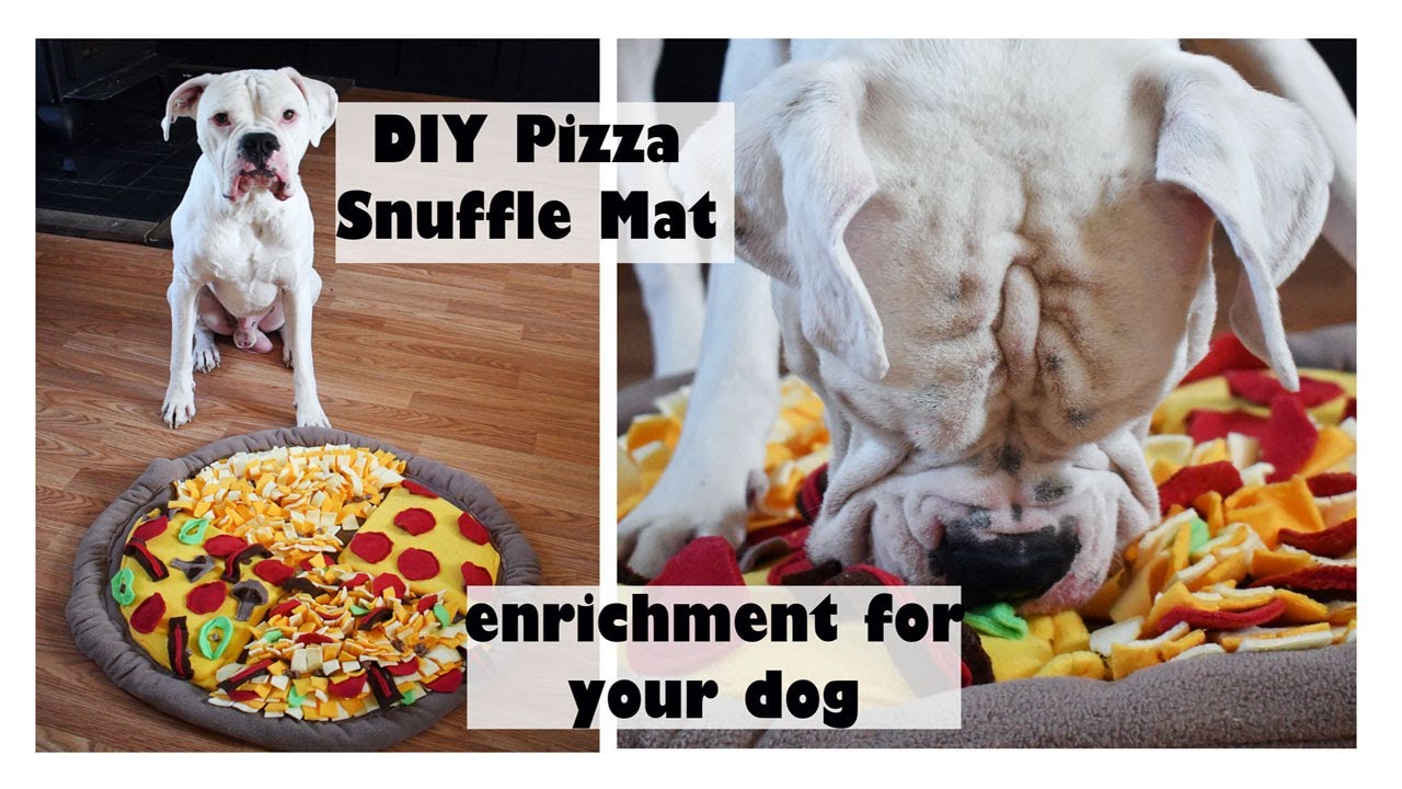 This DIY Snuffle Mat Makes Mealtime Healthier and More Fun
