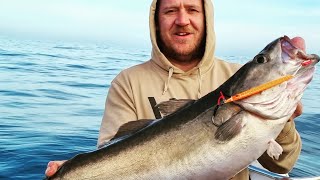 Palmarius P+ jigging rod, power 1 and Dean's 15lb pollock, first time using SPJ! by JOKERjigsandlures 588 views 3 months ago 2 minutes, 29 seconds