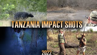 Tanzania Impact Shots 2022