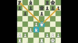 Phases of the Game   Pelajaran Catur   Chess com screenshot 1