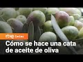 Cómo se hace una cata de aceite de oliva - Como Sapiens | RTVE Cocina