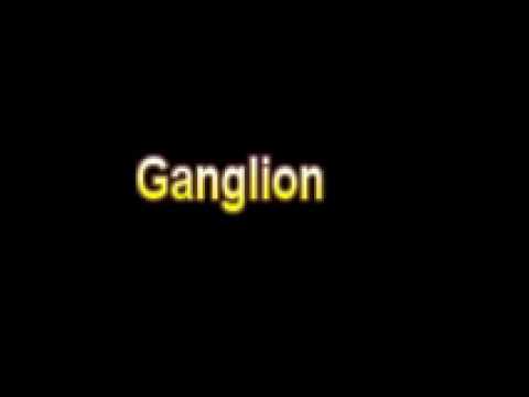 Video: Arnold's Ganglion - Dictionary Of Medical Terms