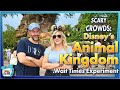 SCARY CROWDS: Disney's Animal Kingdom Wait Times Experiment