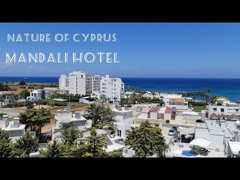 Video: 7 Gode Grunde Til At Studere I Udlandet På Cypern - Matador Network