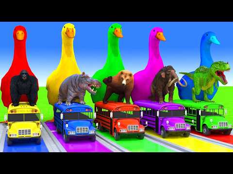 5 GIANT DUCKS and Friends Cross the Famous Fountain in EPIC Animation #836