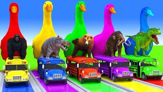 5 GIANT DUCKS and Friends Cross the Famous Fountain in EPIC Animation #836
