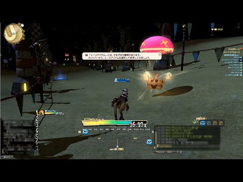 【新生FF14】チョコボレース １羽 ～エオルゼア一（いち）の羽主を目指して～　CHOCOBO RACING