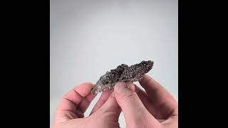 Video: Anatases, adularia, Lauzière Massif, France, 113 grams