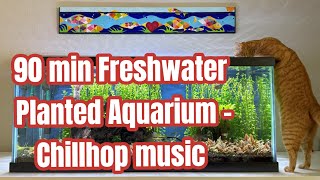 90-Minute Aquarium in 4K | Relaxing Fish Tank Chillhop Music for Study & Focus