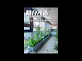 Creating a Zen landscape with rich levels on the balcony #Green plants on balcony #Green plant land
