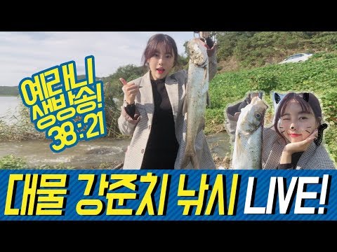 <strong>옷</strong> 예쁘게입고 대물강준치 낚시 🐟<strong>LIVE</strong> 38:21🐟