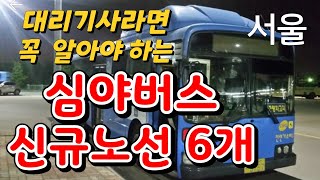 서울심야버스  올빼미 버스 신규노선 N버스 자세히 살펴보기 screenshot 5
