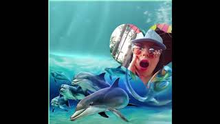 Orkaların Çığlıkları Writerbinay Kanscreams Of Orka