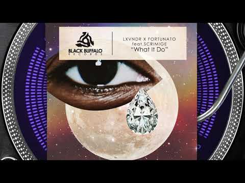 Fortunato — Fortunato x Lxvndr - What It Do feat Scrimige
