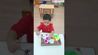 Sorting colors with joy—sharpening little minds the Montessori way!