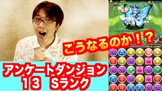 使ってみた お試しパーティー アンケートダンジョン１３ Sランク パズドラ じゃじゃーん菊池 Youtube