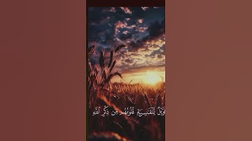 سوره الزمر افمن شرح الله صدره للاسلام