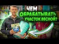 ОБРАБОТКА УЧАСТКА от насекомых и грибковых болезней. Чем обрабатывать садовый участок весной?