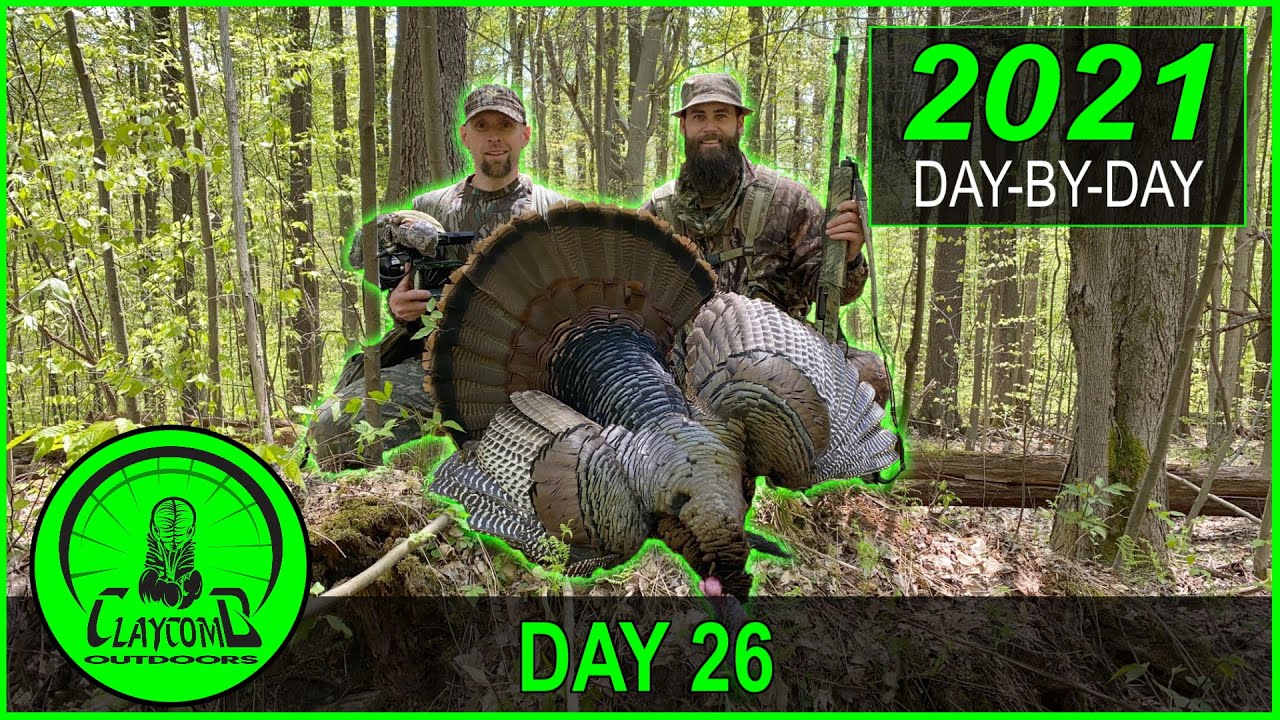 Hung up MOUNTAIN GOBBLER? | The perfect time for the FIGHTING PURR!