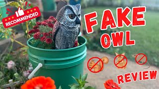 Fake Owl Decoys with Rotating Heads 2 Pack (Review)