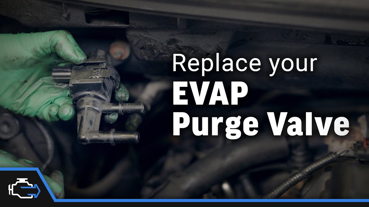 2004 F150 Purge Valve Location