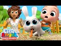 Lucunya Kelinci Binatang Peliharaan Kami 🐰 Kartun Anak | Little Angel Bahasa Indonesi