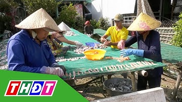 Tam Nông: Nhộn nhịp làng nghề khô cá lóc phục vụ Tết | THDT