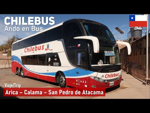 Video: Arica, Chile: Staden med den eviga våren