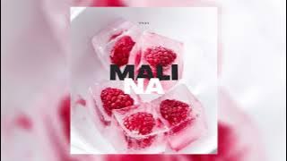 Vnas - Malina // Վնաս - Մալինա