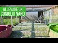 La migliore gabbia (AUTOCOSTRUITA) per il coniglio ðŸ‡
