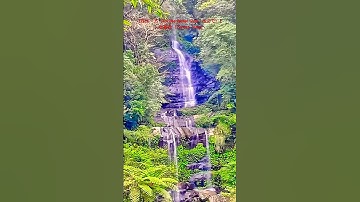 Thumbnail of ［在水一方（On the Water Side / 水辺で）］~ 鄧麗君（Teresa Teng）/ 灣潭古道 08（Wantan Historic Trail 08） #幸福之歌 #travel