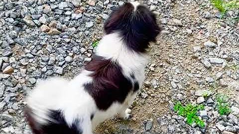 Gửi Lời Cám Ơn Đến 1000 Người Đăng Ký-Theo Dõi Ủng Hộ Kênh YouTube Ngọc Châu